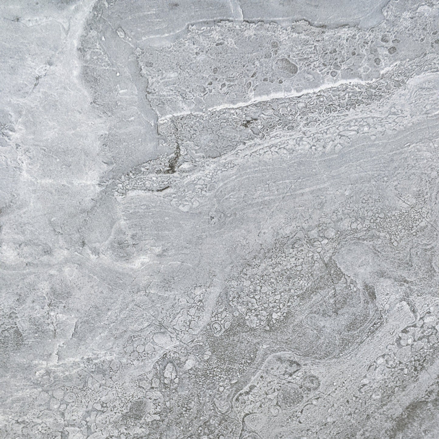 CERAMIC TILES MASIKA CHARCOAL 600X600 TMA81S1A