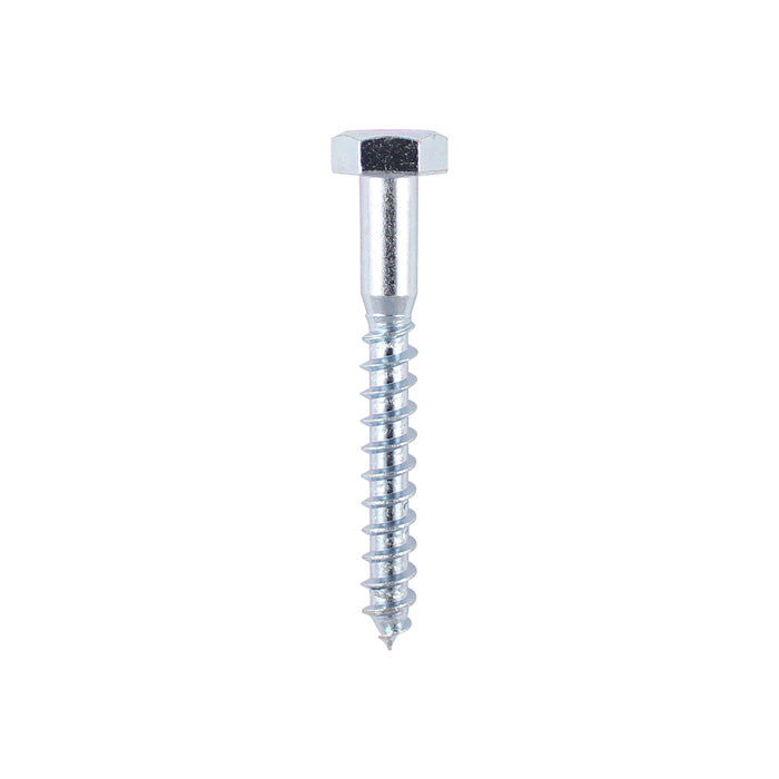 SCREW COACH M6X100MM