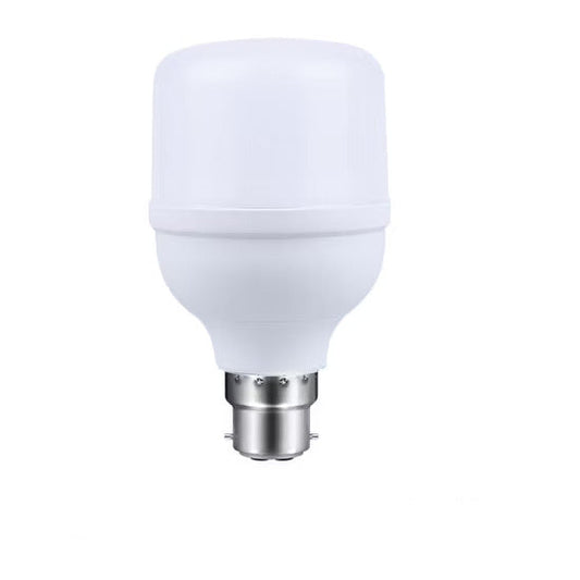 TROPICAL LED LIGHTS 6500K-T100-30W B22