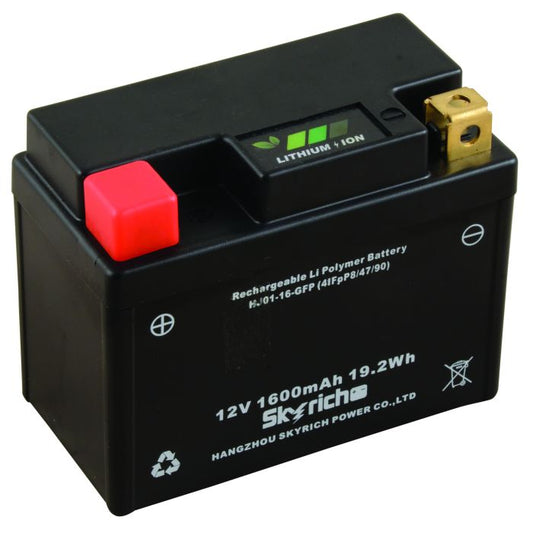 SKYRICH GENERATOR BATTERY 1600MAH 19,2WH LITHIUM ION 12V RGBL-0001