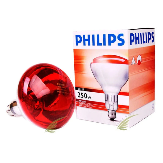 PHILIPS INFRARED RED IR250 INFRA250WRED