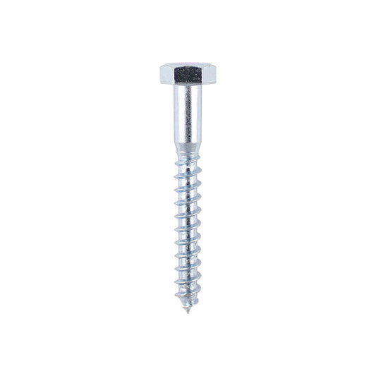 SCREW COACH M6X100MM